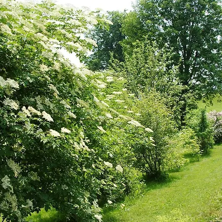 Privatpension Bergschutz 3*