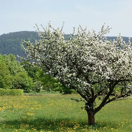 Privatpension Bergschutz Санкт-Энгльмар
