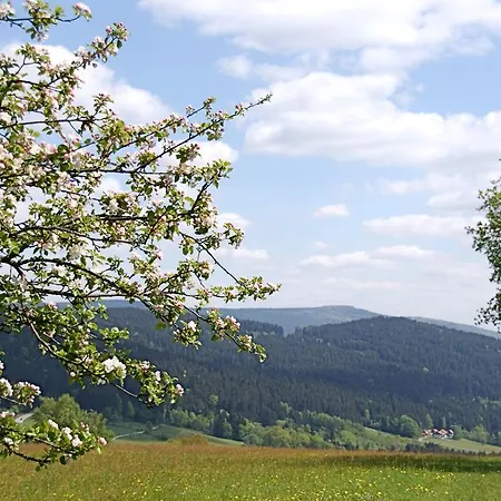 Privatpension Bergschutz 3*